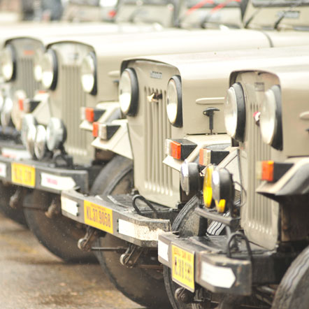 jeep trekking thekkady