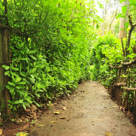 spice garden thekkady Kerala